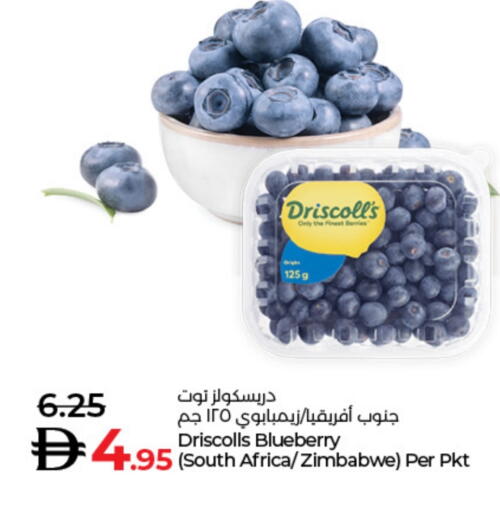 Fresh Fruits in Lulu Hypermarket, UAE Offers - United Arab Emirates Berries from South Africa Zimbabwe available at Lulu Hypermarket in UAE - Dubai