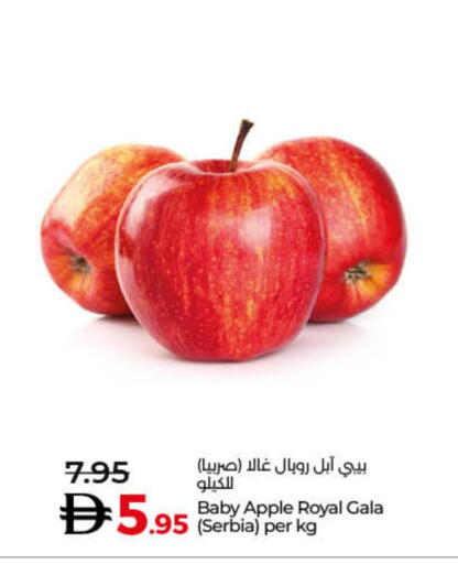 Fresh Fruits in Lulu Hypermarket, UAE Offers - United Arab Emirates Apples from Serbia available at Lulu Hypermarket in UAE - Dubai