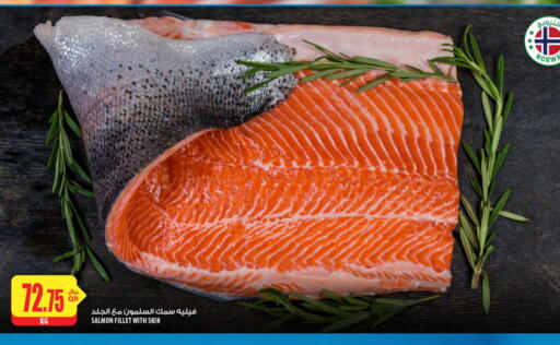 available at شركة الميرة للمواد الاستهلاكية in قطر - الريان