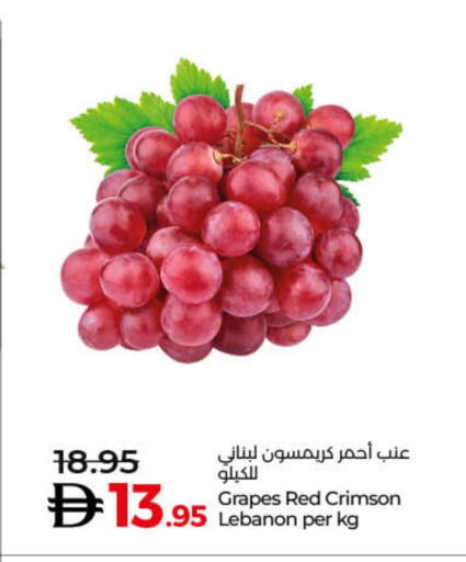 Fresh Fruits in Lulu Hypermarket, UAE Offers - United Arab Emirates Grapes from Lebanon available at Lulu Hypermarket in UAE - Dubai