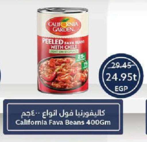 CALIFORNIA GARDEN Fava Beans available at Oscar Grand Stores  in Egypt - Cairo