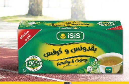 Celery available at بنده in Egypt - القاهرة