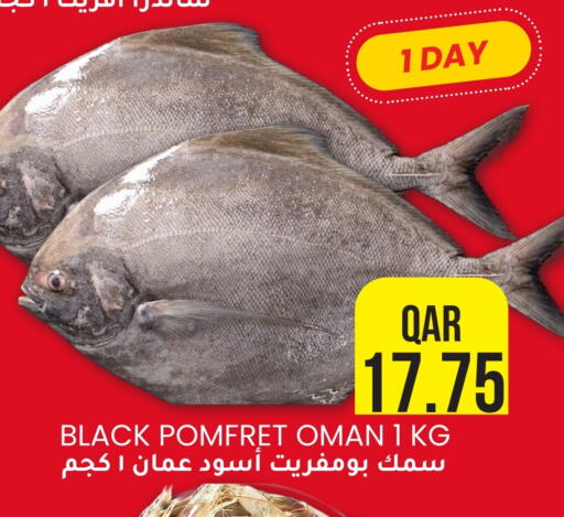 available at رامبو مارت in قطر - الريان