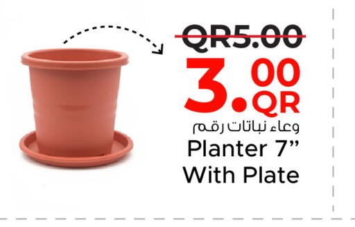 available at مركز التموين العائلي in قطر - الدوحة