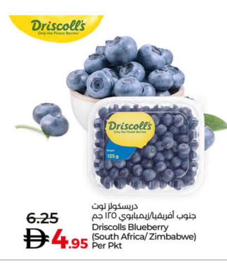 Fresh Fruits in Lulu Hypermarket, UAE Offers - United Arab Emirates Berries from South Africa Zimbabwe available at Lulu Hypermarket in UAE - Dubai