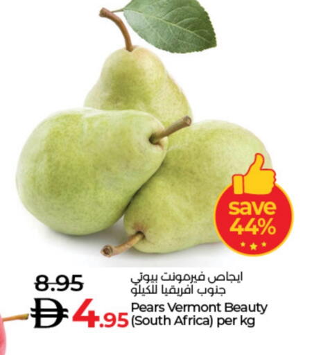 Fresh Fruits in Lulu Hypermarket, UAE Offers - United Arab Emirates from South Africa available at Lulu Hypermarket in UAE - Dubai