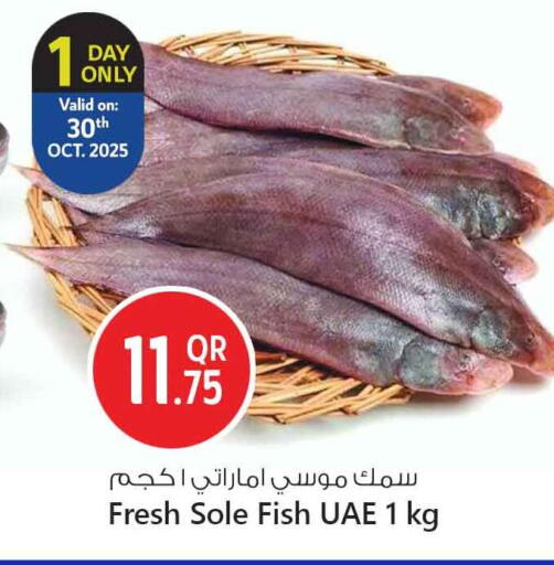 available at سفاري هايبر ماركت in قطر - الريان