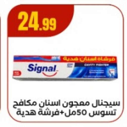 سيجنال معجون أسنان available at مارت فيل in Egypt - القاهرة