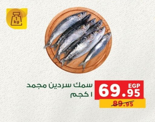 available at بنده in Egypt - القاهرة