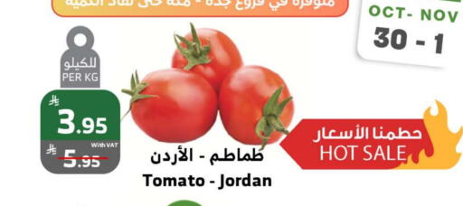 Tomato from Jordan available at Al Raya in KSA, Saudi Arabia, Saudi - Jeddah