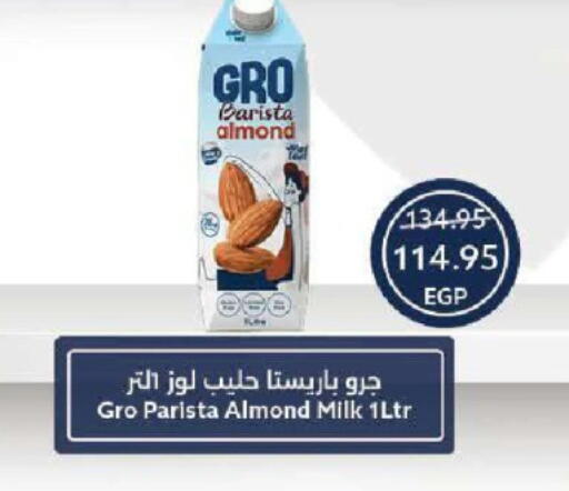 حليب بنكهات available at  أوسكار جراند ستورز  in Egypt - القاهرة