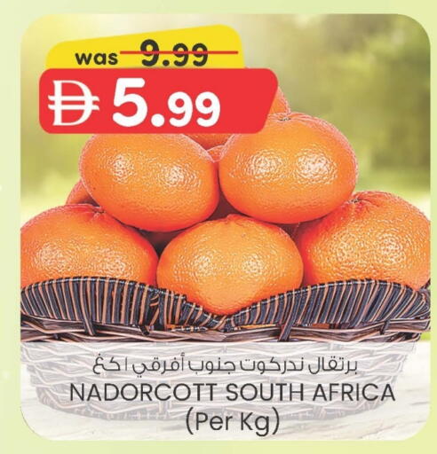 فاكهة طازجة in ك. الم. للتجارة, UAE Offers - الإمارات العربية المتحدة برتقال from South Africa available at ك. الم. للتجارة in الإمارات العربية المتحدة , الامارات - دبي