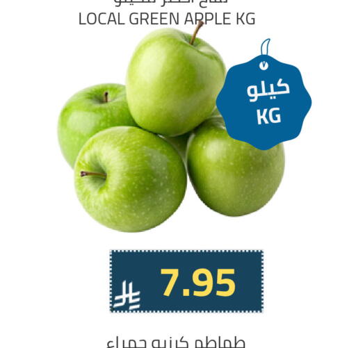 طماطم available at أسواق أسترا in مملكة العربية السعودية, السعودية, سعودية - تبوك