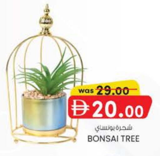 available at الصفا in الإمارات العربية المتحدة , الامارات - ٱلْعَيْن‎