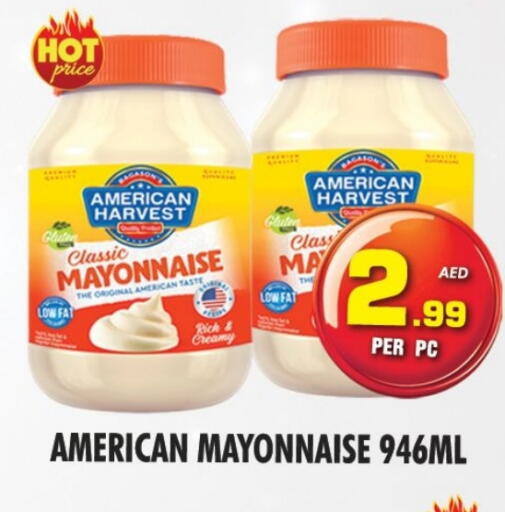 AMERICAN HARVEST Mayonnaise available at NIGHT TO NIGHT DEPARTMENT STORE in UAE - Sharjah / Ajman