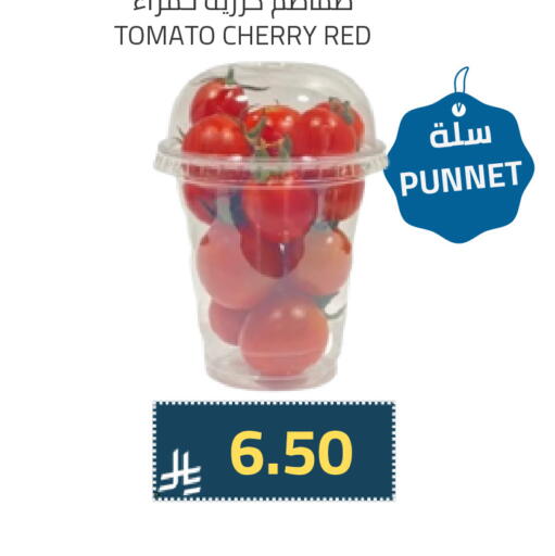 طماطم available at أسواق أسترا in مملكة العربية السعودية, السعودية, سعودية - تبوك