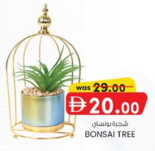 available at ك. إم. هايبرماركت in الإمارات العربية المتحدة , الامارات - ٱلْعَيْن‎