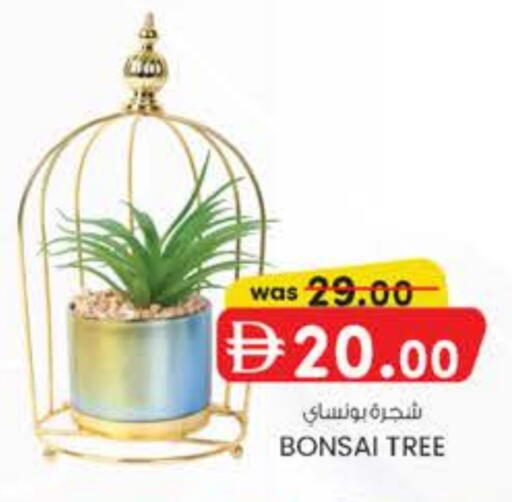 available at K M Trading  in UAE - Dubai