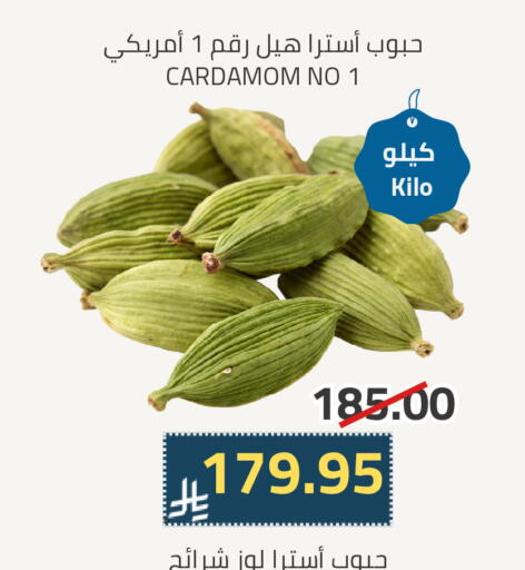 أعشاب مجففة available at أسواق أسترا in مملكة العربية السعودية, السعودية, سعودية - تبوك