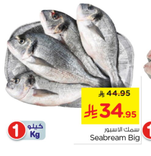 available at Nesto in KSA, Saudi Arabia, Saudi - Al Majmaah