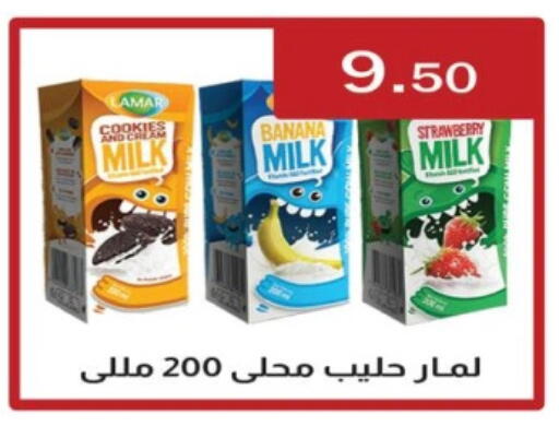 Flavoured Milk available at ABA market in Egypt - Cairo