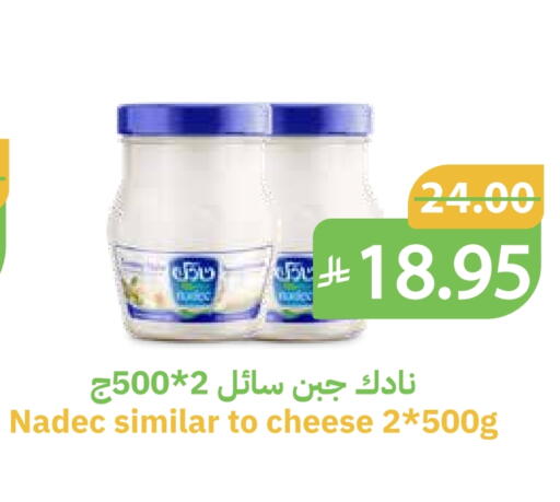 نادك available at أسواق قاطبة in مملكة العربية السعودية, السعودية, سعودية - بريدة