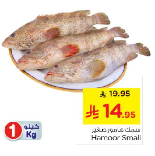 available at Nesto in KSA, Saudi Arabia, Saudi - Al Majmaah