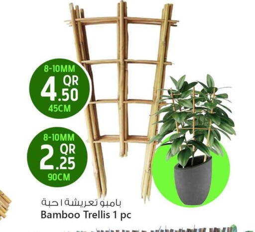 Home Fixtures & Fittings in Safari Hypermarket, Qatar Offers - Qatar available at Safari Hypermarket in Qatar - Al-Shahaniya