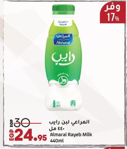 المراعي لبن available at لولو هايبرماركت in Egypt - القاهرة