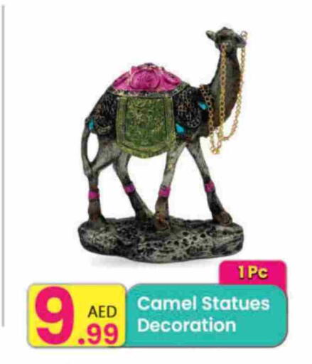 available at Everyday Center in UAE - Ras al Khaimah