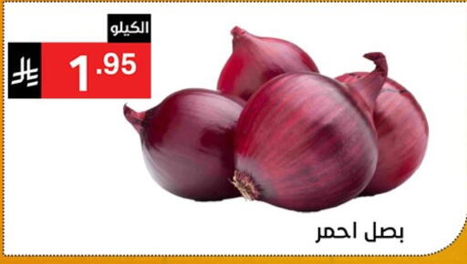 Onion available at Noori Supermarket in KSA, Saudi Arabia, Saudi - Jeddah