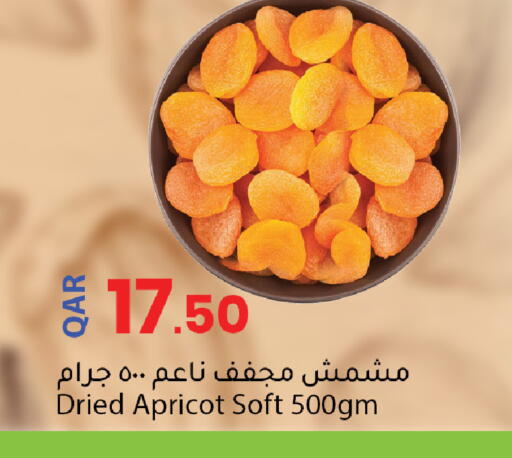 Apricot available at Dana Market in Qatar - Al-Shahaniya