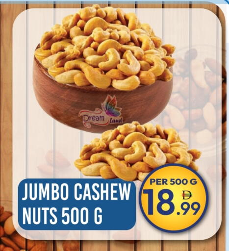available at دريم لاند in الإمارات العربية المتحدة , الامارات - دبي