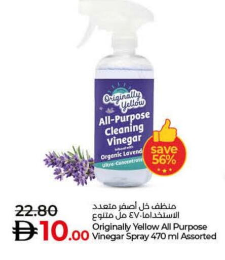 General Cleaner available at Lulu Hypermarket in UAE - Ras al Khaimah