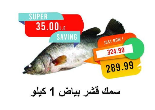 available at مترو ماركت in Egypt - القاهرة