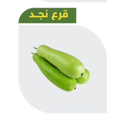 available at Makan Algida in KSA, Saudi Arabia, Saudi - Buraidah