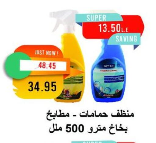 منظف عام available at مترو ماركت in Egypt - القاهرة