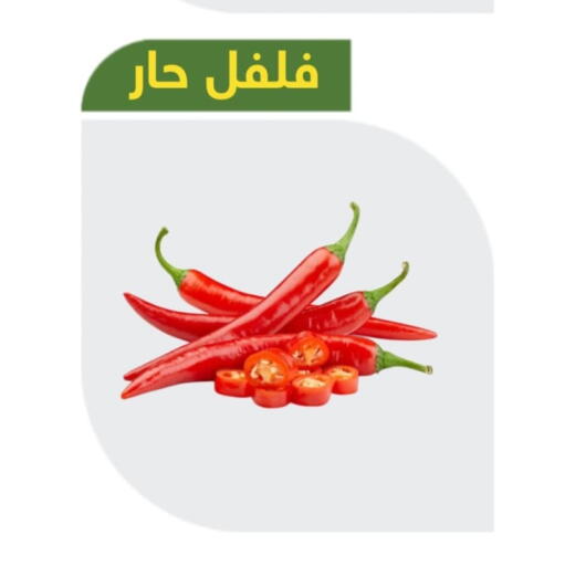 Chilli / Capsicum available at Makan Algida in KSA, Saudi Arabia, Saudi - Buraidah