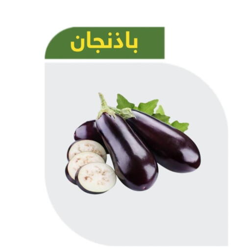 Zucchini available at Makan Algida in KSA, Saudi Arabia, Saudi - Buraidah