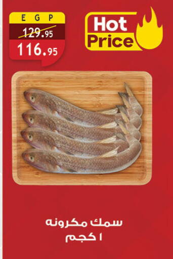 available at الرايه  ماركت in Egypt - القاهرة