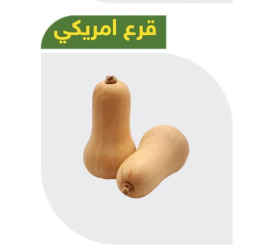 available at Makan Algida in KSA, Saudi Arabia, Saudi - Buraidah