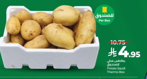 بطاطا from Saudi Arabia available at لولو هايبرماركت in مملكة العربية السعودية, السعودية, سعودية - جدة