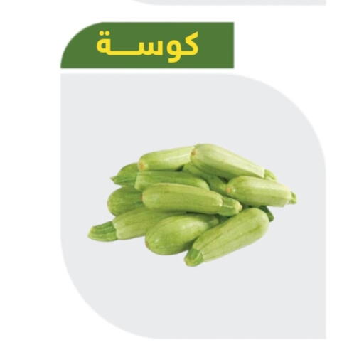 Zucchini available at Makan Algida in KSA, Saudi Arabia, Saudi - Buraidah