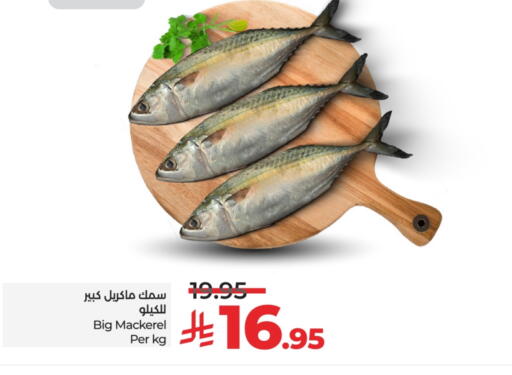 available at LULU Hypermarket in KSA, Saudi Arabia, Saudi - Tabuk