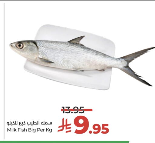 available at لولو هايبرماركت in مملكة العربية السعودية, السعودية, سعودية - الخرج