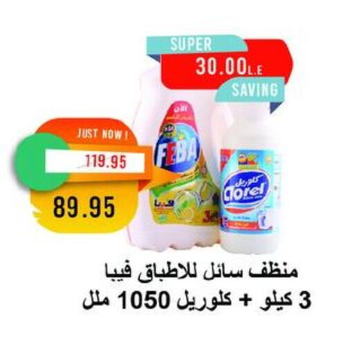 منظف عام available at مترو ماركت in Egypt - القاهرة