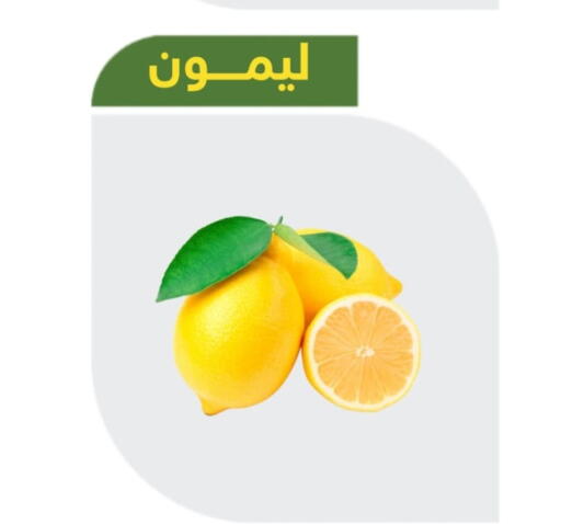 available at Makan Algida in KSA, Saudi Arabia, Saudi - Buraidah