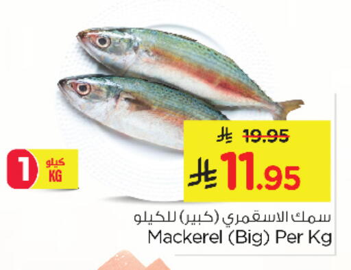 available at نستو in مملكة العربية السعودية, السعودية, سعودية - الخبر‎