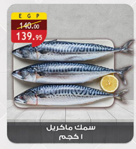 available at الرايه  ماركت in Egypt - القاهرة