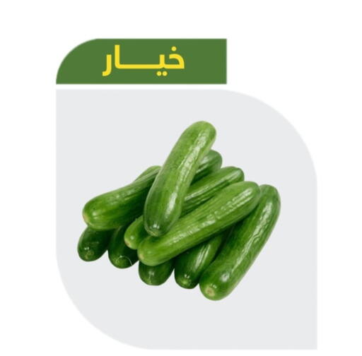 Cucumber available at Makan Algida in KSA, Saudi Arabia, Saudi - Buraidah